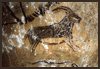 drawings in caves