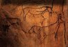 drawings in caves