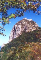 Cathars