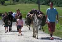 Walk with a donkey!