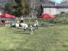 chateau_spelende_kids.jpg - 